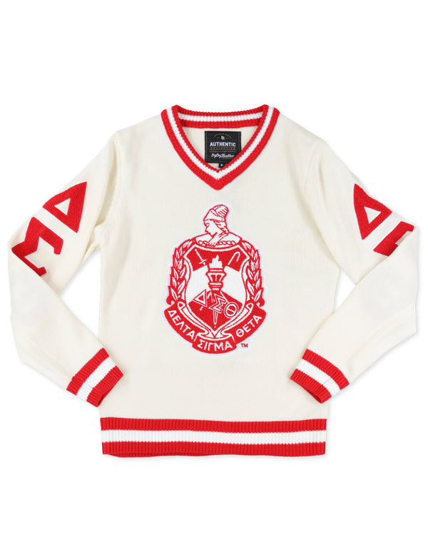 DST V-NECK SWEATER BBG