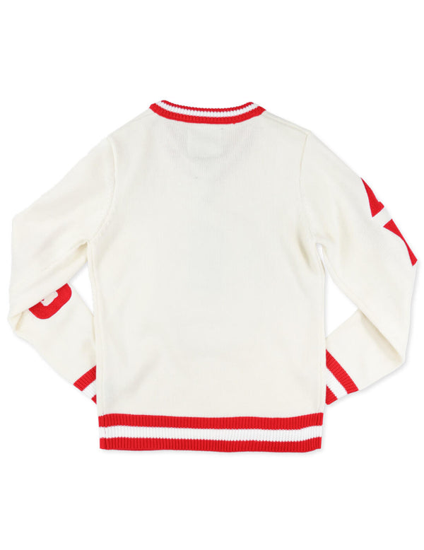 DST V-NECK SWEATER BBG