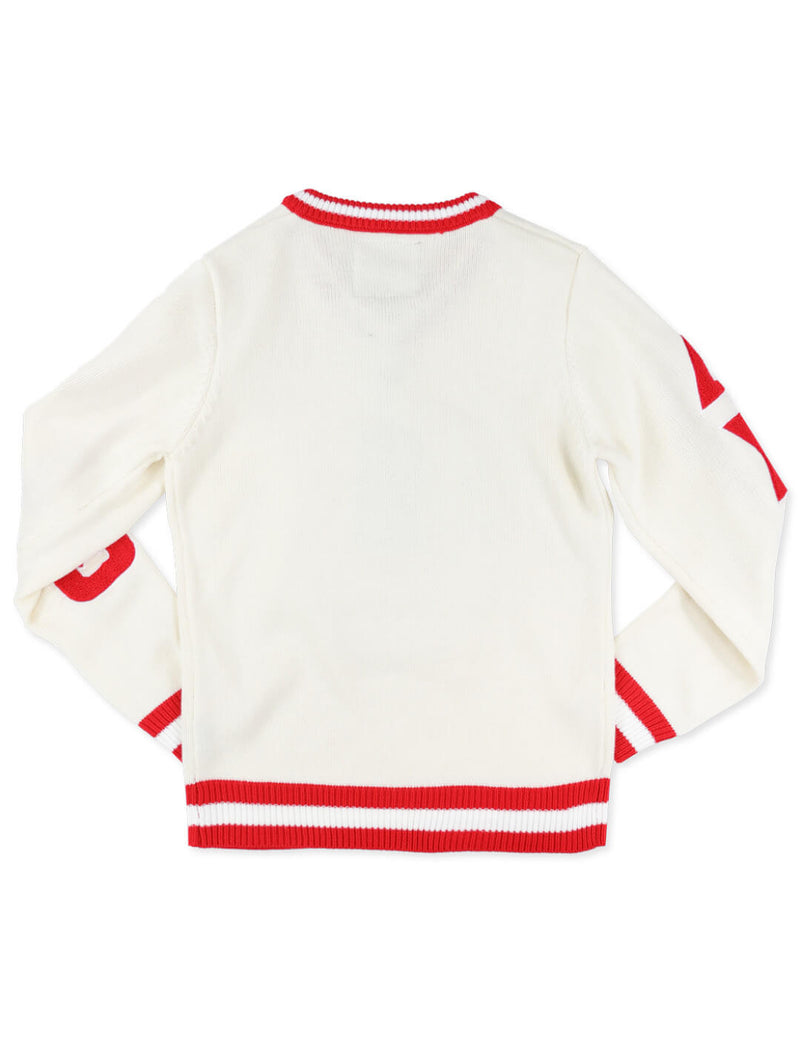 DST V-NECK SWEATER BBG