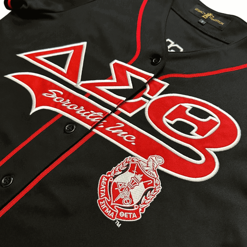 Delta Sigma Theta  - Baseball Jersey LT