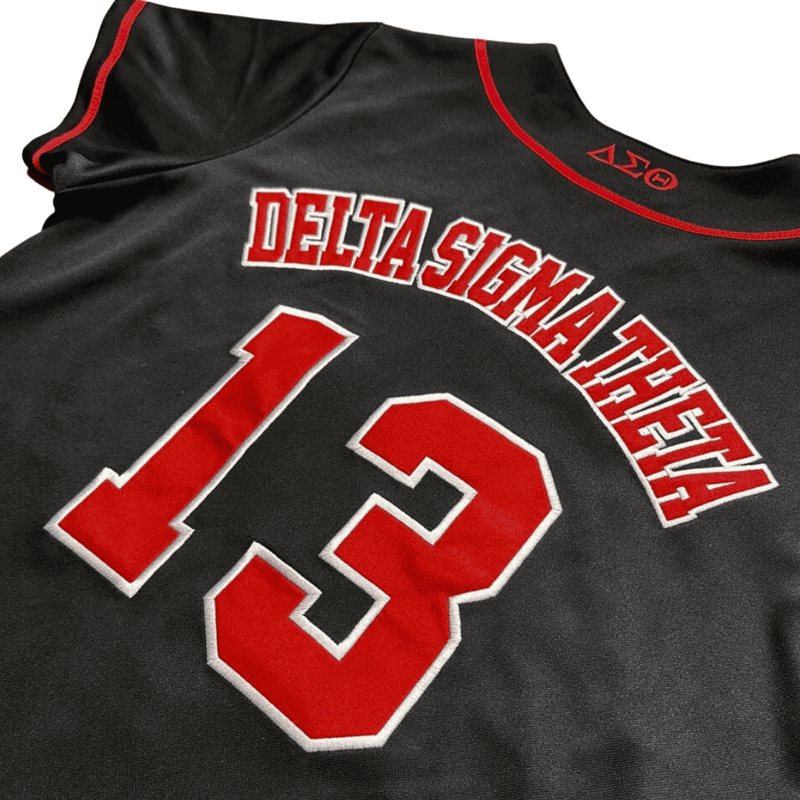 Delta Sigma Theta  - Baseball Jersey LT