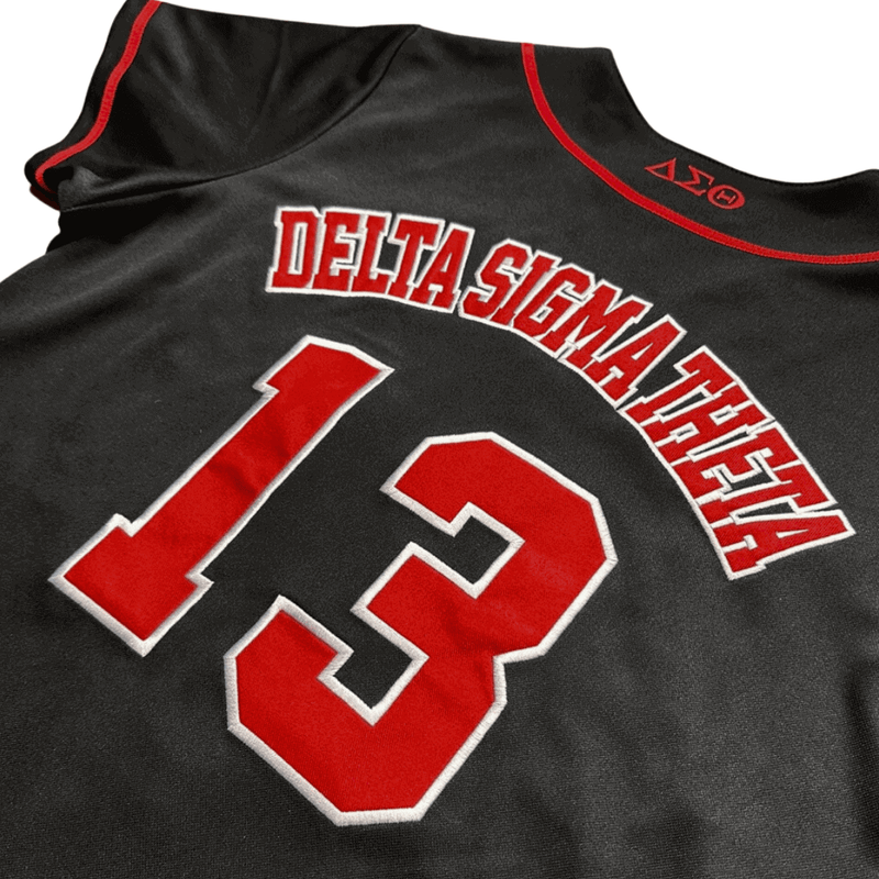 Delta Sigma Theta®️  - Baseball Jersey LT