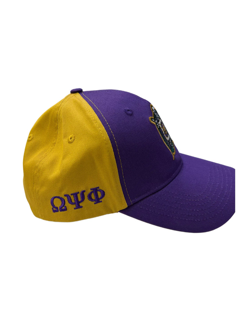 Omega Color Block Baseball Cap