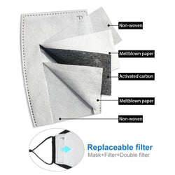 Disposable PM 2.50 Replacement Filters