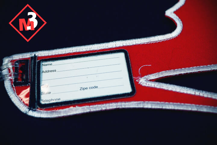 Heel Luggage Tag - Delta Sigma Theta®️ -Greek_Paraphernalia - M3 Greek