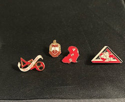 Lapel Pins- Delta Sigma Theta®️ -Greek_Paraphernalia - M3 Greek