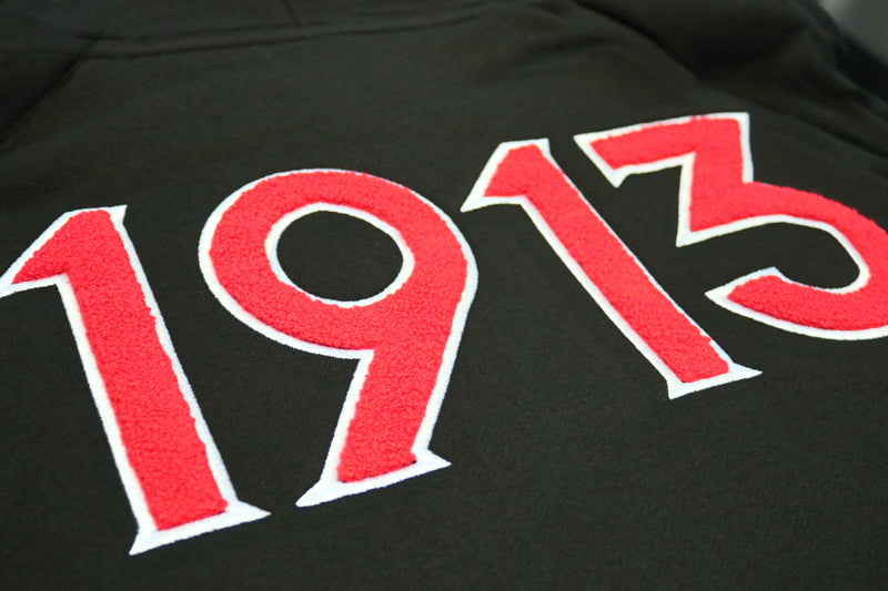 Delta Sigma Theta - Fleece Chenille Hoodie BBG