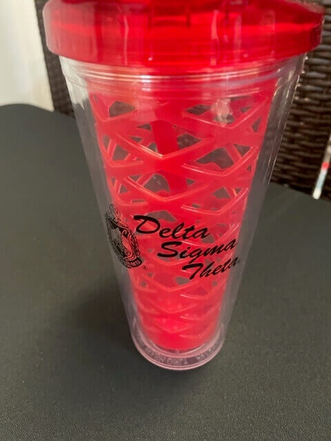 20 oz. fruit infusion double walled plastic insulated cup - Delta Sigma Theta®️